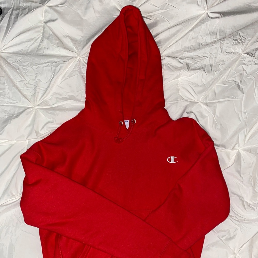 brand new never worn champion hoodie